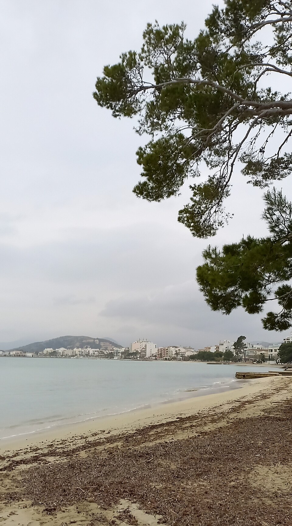 Finca Son Sama