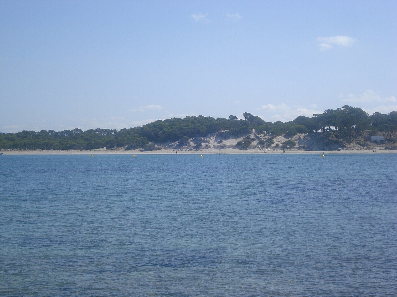 Platja des Carbó